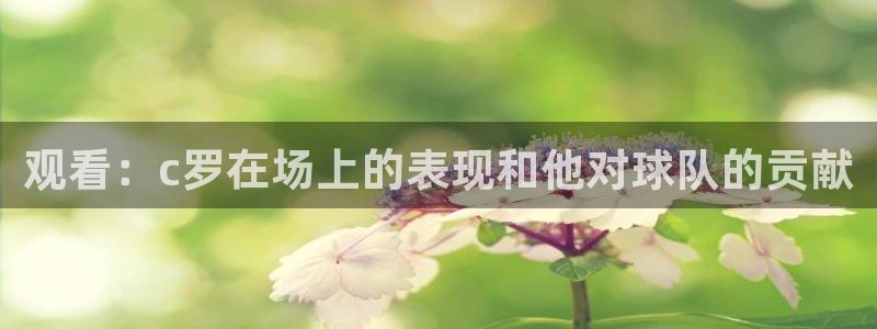观看：c罗在场上的表现和他对球队的贡献