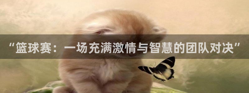  “篮球赛：一场充满激情与智慧的团队对决”