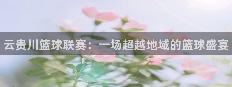 k1体育网址是多少：云贵川篮球联赛：一场超越地域的篮球盛宴