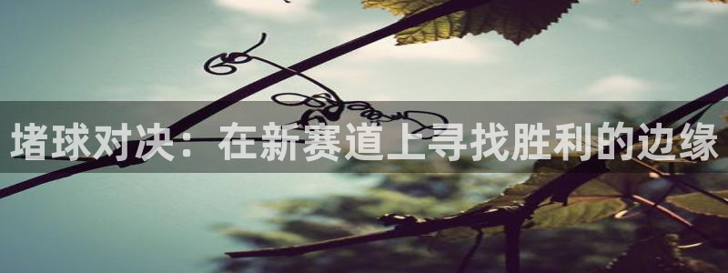  k1体育年收益到什么时候结转：堵球对决：在新赛道上寻找胜利的