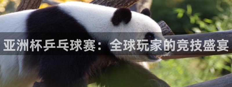  k1体育登录入口官网：亚洲杯乒乓球赛：全球玩家的竞技盛宴