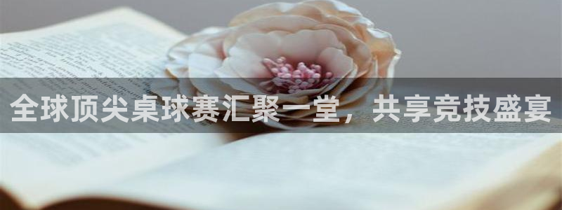 k1体育网页版：全球顶尖桌球赛汇聚一堂，共享竞技盛宴