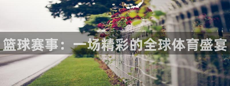 k1体育 十年品牌 值得信赖：篮球赛事：一场精彩的全球体育盛