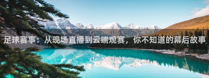  k1体育app登录平台在线：足球赛事：从现场直播到云端观赛，
