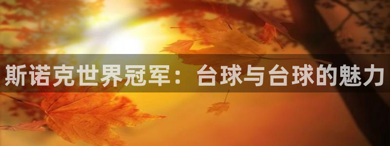 k1体育app下载入口：斯诺克世界冠军：台球与台球的魅力