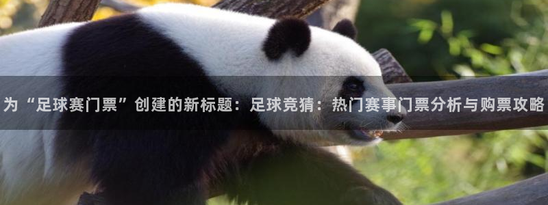  K1体育-十年品牌 值得信赖下载：为“足球赛门票”创建的新标