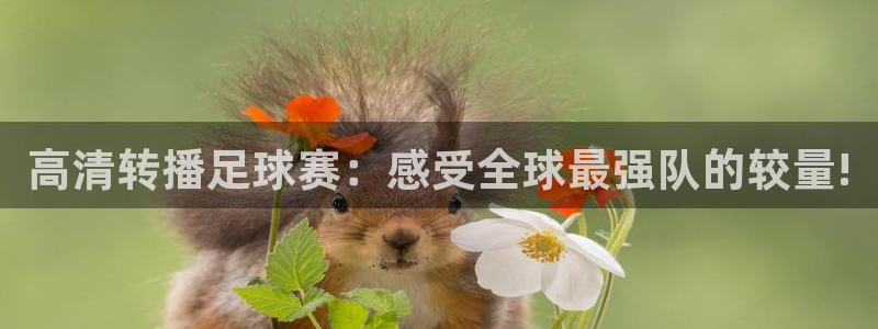  k1体育 十年品牌 值得信赖：高清转播足球赛：感受全球最强队